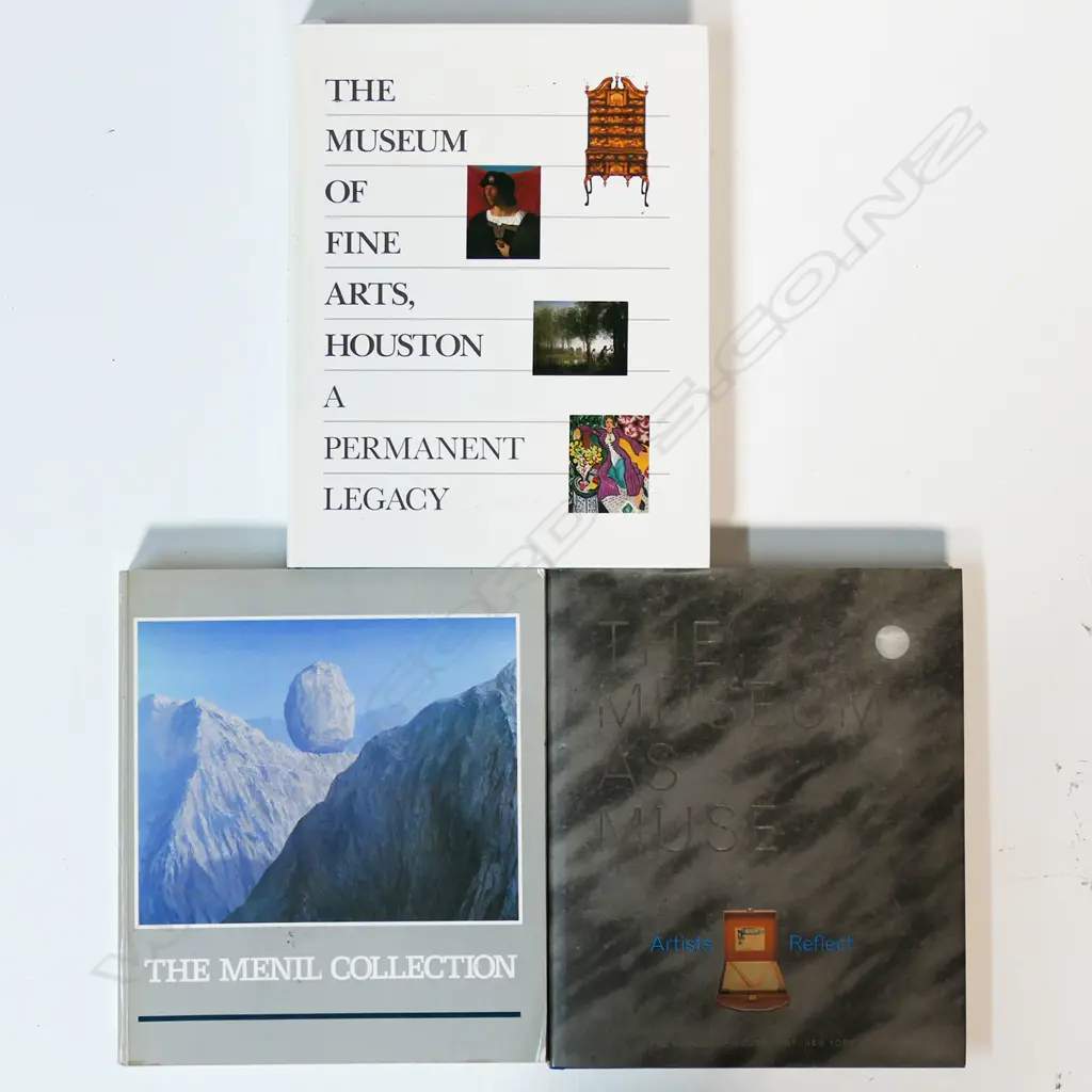 THREE BOOKS: ART GALLERIES & MUSEUMS - USA Image 1++